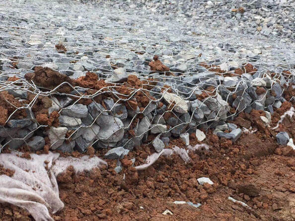 雷諾護墊